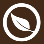 Ollogii Therapies (4)
